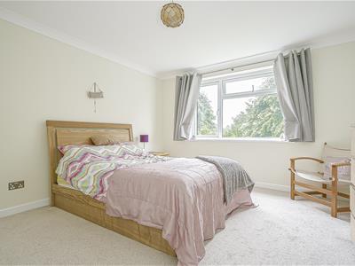 Picture 7